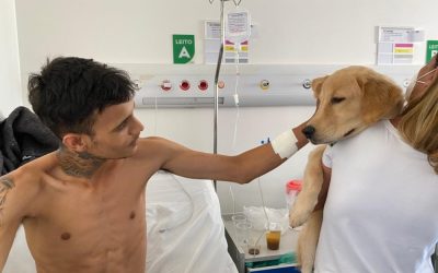 Pacientes, acompanhantes e colaboradores do Hugo recebem vista de cão terapeuta